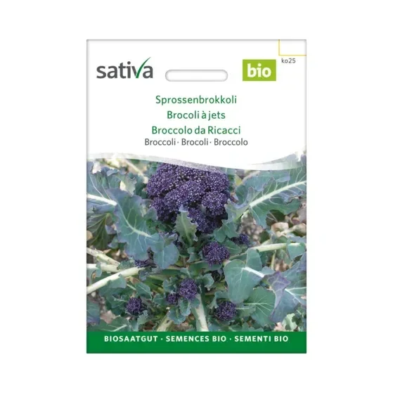 Broccoli Sprossenbrokkoli Biosamen ko25