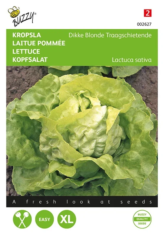 Buzzy Seeds Kopfsalat Fauler dicker Blondschopf