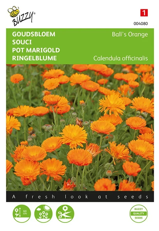 Buzzy Seeds Ringelblumen Ball’s Orange gefüllte