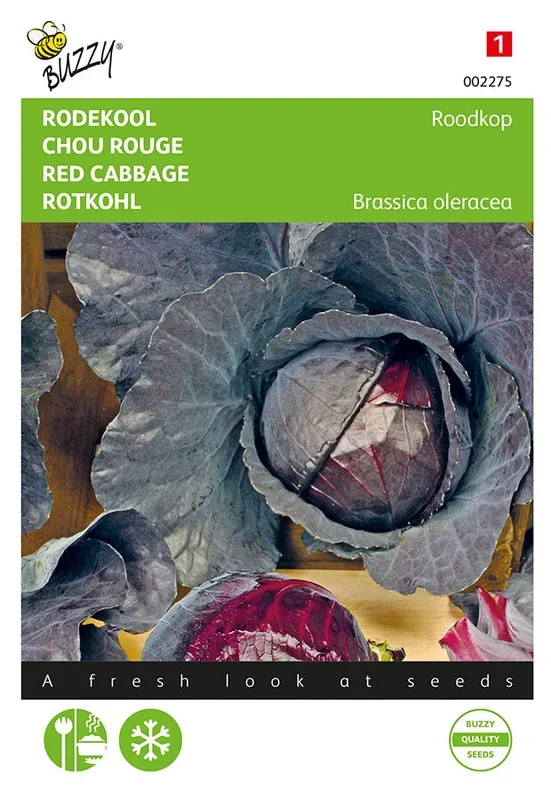 Buzzy Seeds Rotkohl Schwantzkopf