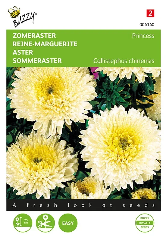Buzzy Seeds Sommeraster Prinzessin