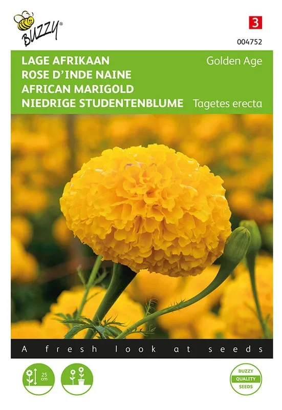 Buzzy Seeds Studentenblumen Golden Age niedrige