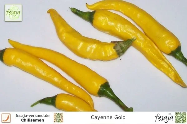 Cayenne Gold · Chili · Samen