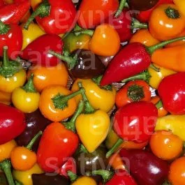Chili Mix – Chili