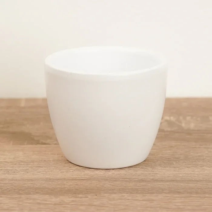 Classic Ceramic Pot | White