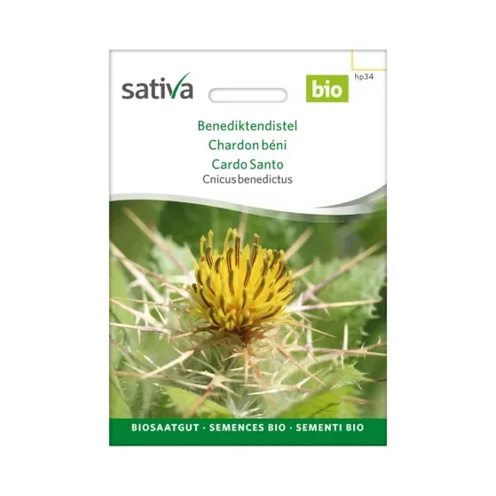Cnicus benedictus Benediktendistel Biosamen hp34