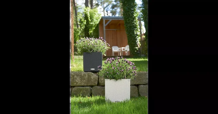 CUBE Cottage 30