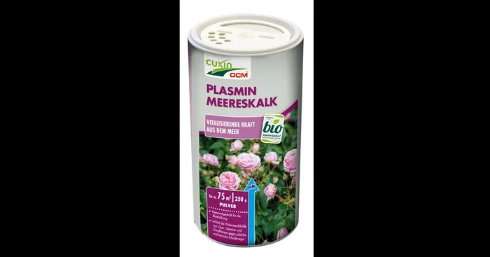 Cuxin Plasmin Meereskalk