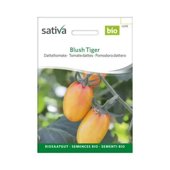 Datteltomate Blush Tiger Biosamen to98