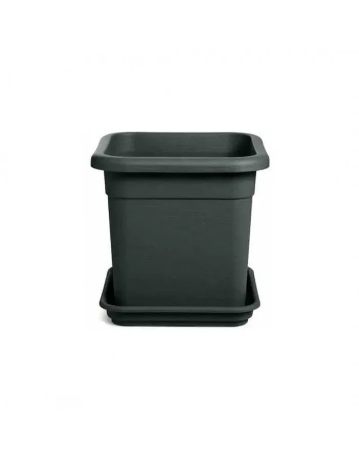 Decor Quadro Untertasse 42 cm Anthrazit