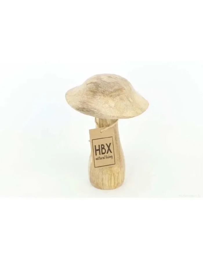 Deko Pilz Mango D10