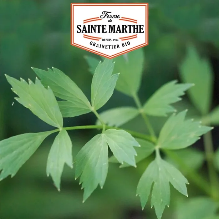 Der Bauernhof Sainte Marthe – 500 Samen Ache des Montagnes