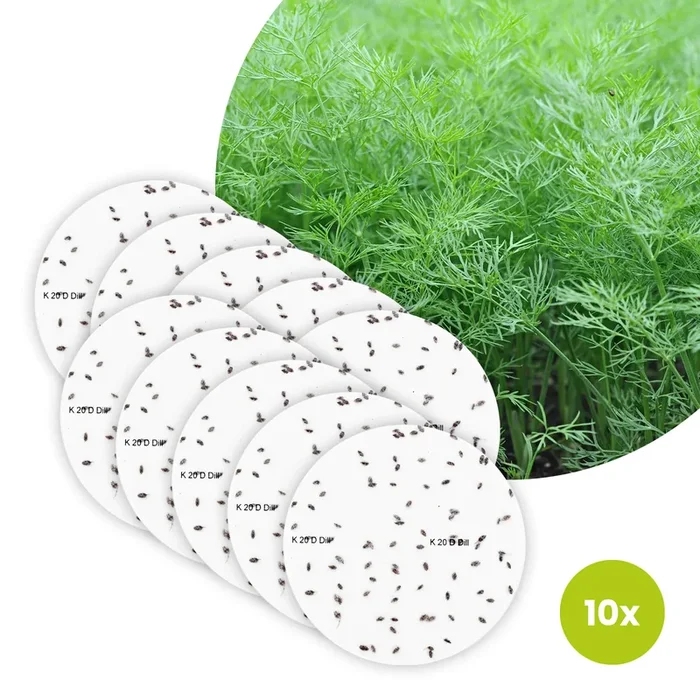 Dill Bio-Kräuter – 10 Saatscheiben