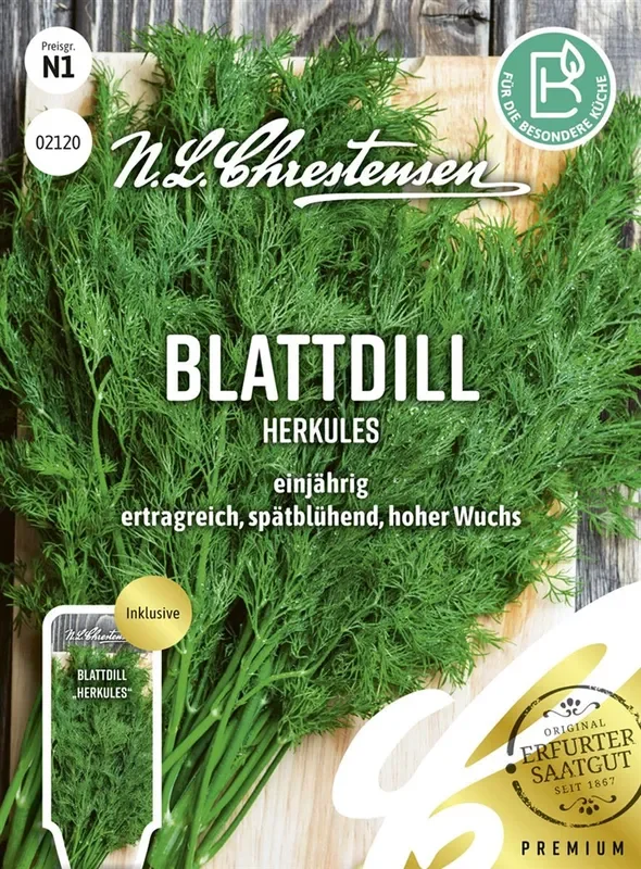 Dillsamen ‚Herkules‘