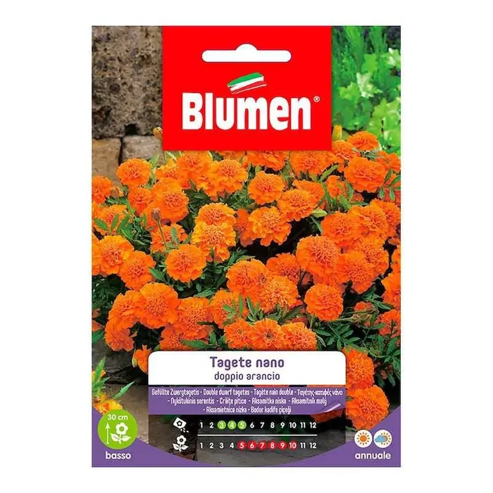 Doppelte Orangen-Ringelblumenkerne im Beutel