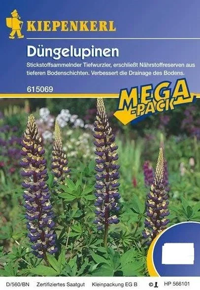 Dünge-Lupine Kiepenkerl Gründünger 1kg – 5kg für 50 – 250 m²