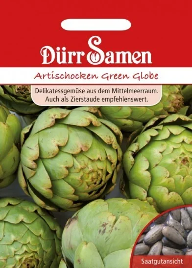 Dürr Artischocken Green Globe, essbar & dekorativ