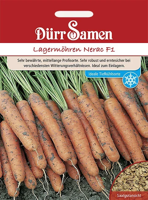 Dürr Möhren Lagermöhren Nerac F1, glatte, tieforange Rüben