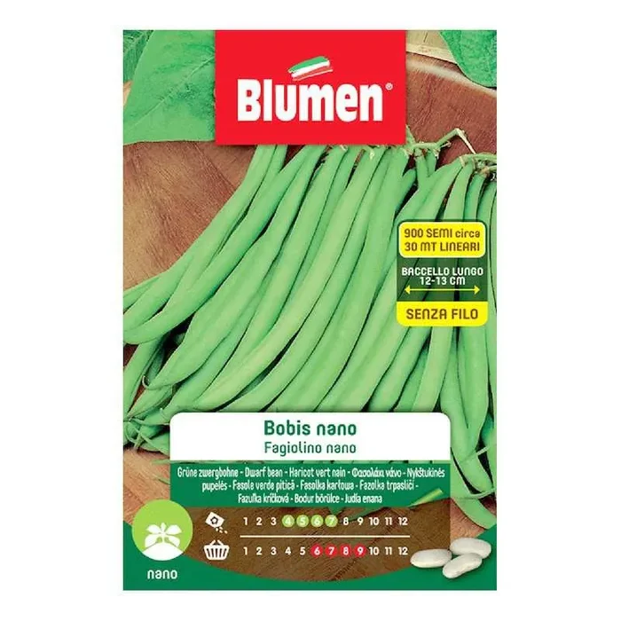 Dwarf Green Bean Seeds Bobis Nano Blumen 250 gr