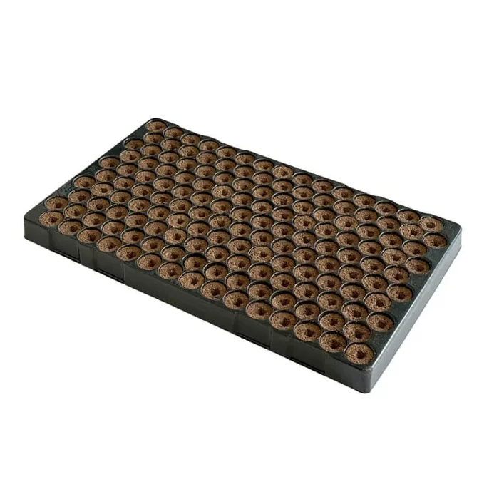 Eazy Plug Stecklingstrays CT150PF 150 Stück Ø 3 x H 3,8cm