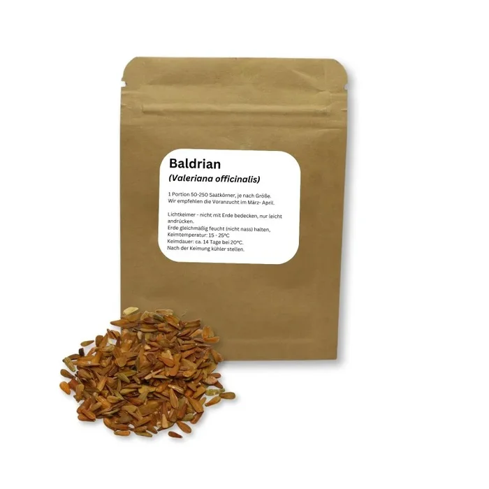 Echter Baldrian Valeriana officinalis traditionelle Heilpflanze, Portion