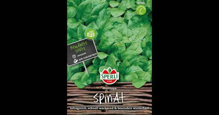 Echter Spinat ‚Monnopa‘