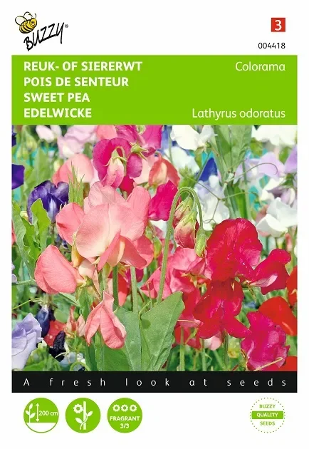 Edelwicken ‚Colorama‘