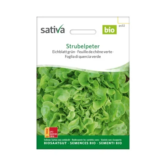 Eichblatt grün Strubelpeter Biosamen ps32