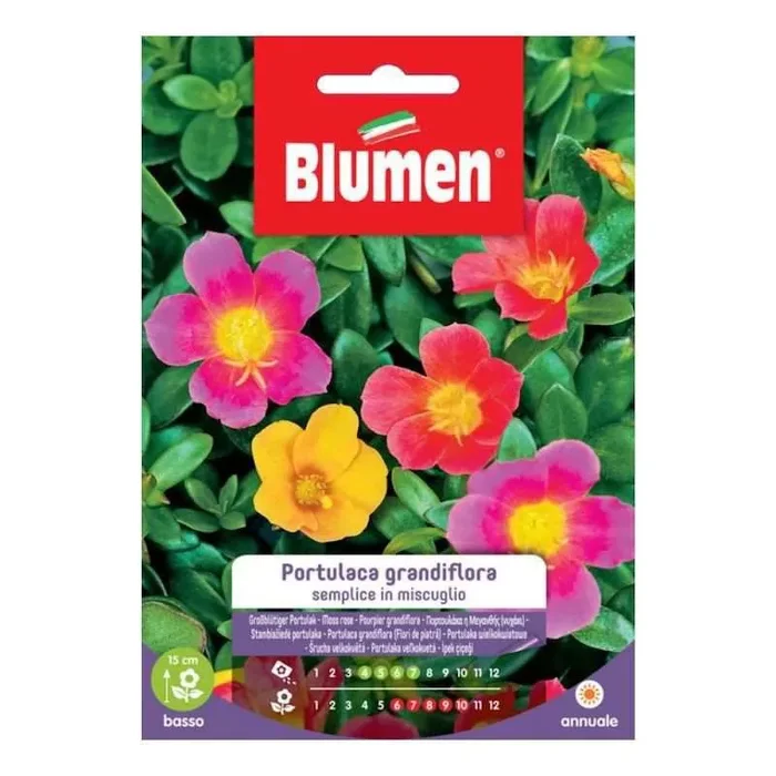 Einfache Portulaca Grandiflora-Samen in Mischung