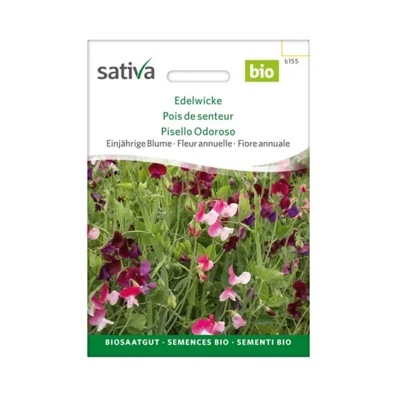 Einjährige Blume Edelwicke Biosamen b155