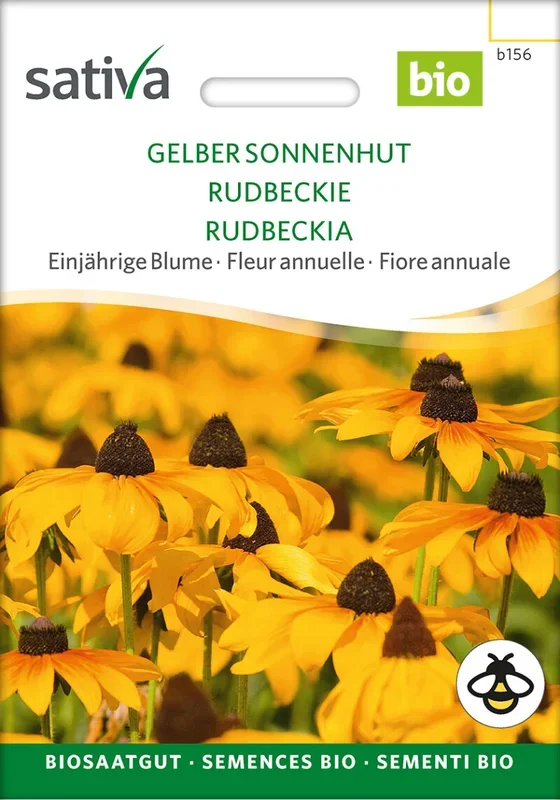 Einjährige Blume GELBER SONNENHUT Schnitt- und Trockenblume