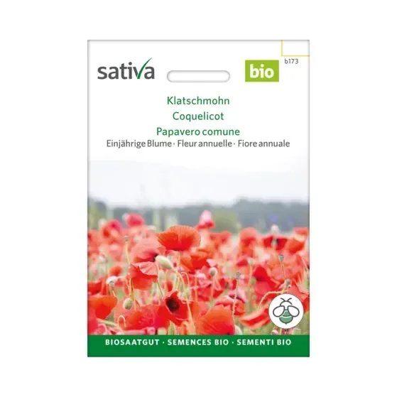 Einjährige Blume Klatschmohn Biosamen b173