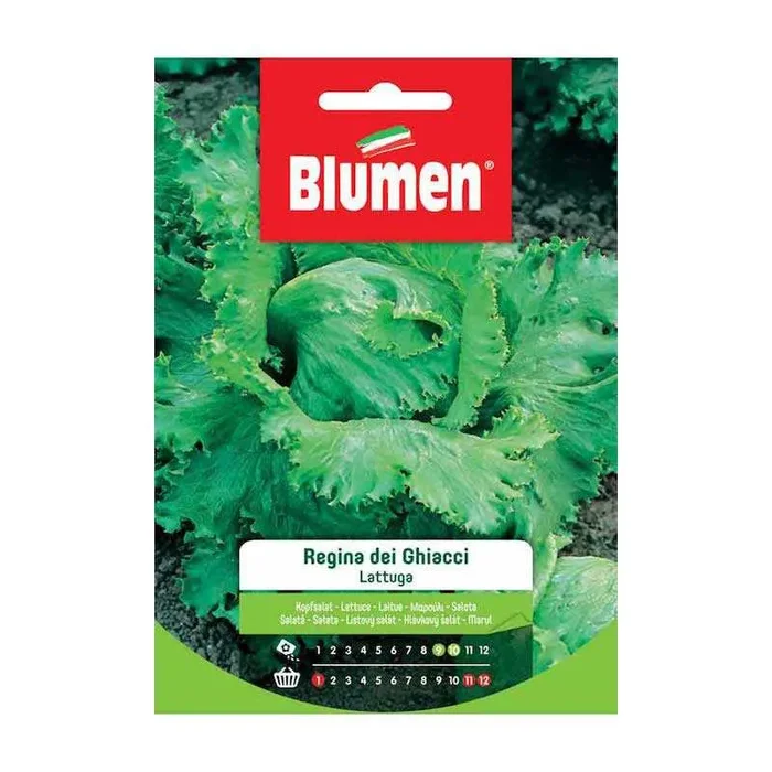 Eiskönigin-Salatsamen im Beutel