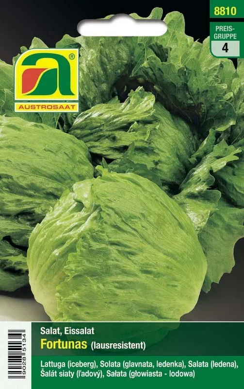 Eissalat Cartagenas