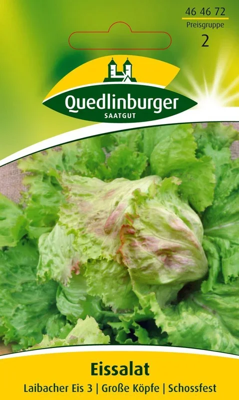 Eissalat Laibacher Eis 2