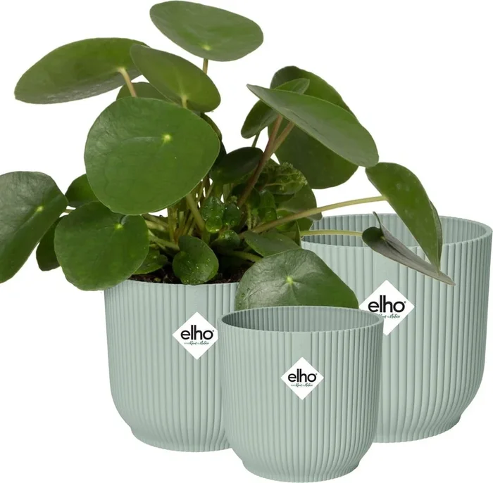 elho 3er Set vibes fold rund Sorbet Grün, 14cm, 16cm, 18cm
