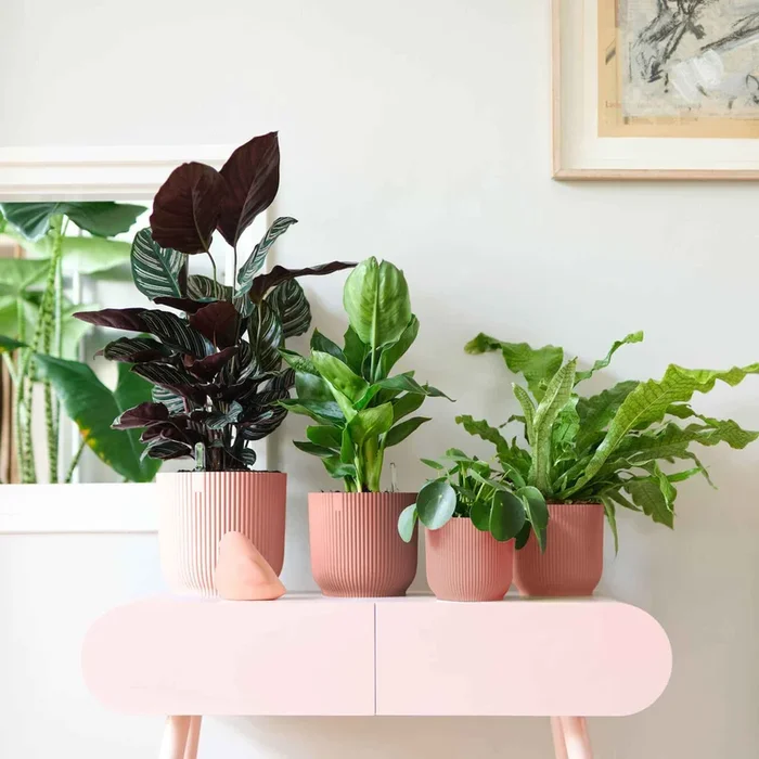 Elho Blumentopf Vibes Fold rund rosa – Innentopf