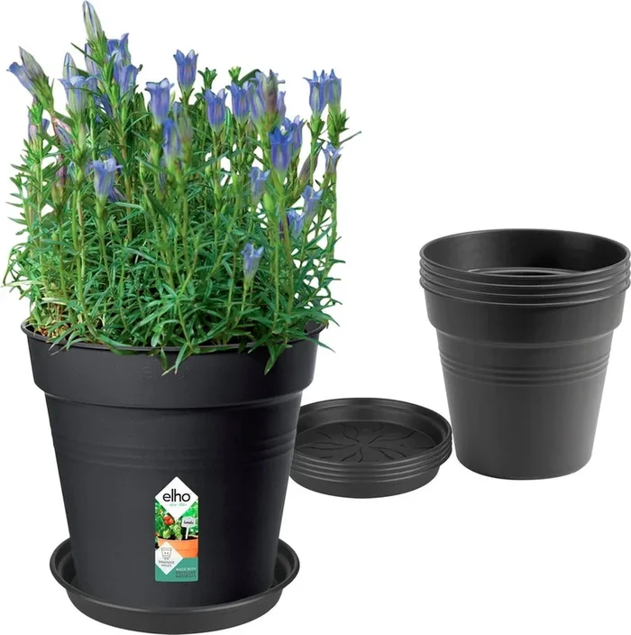elho Green Basics Growpot Set Living Schwarz, Anzuchttopf 17cm + Untersetzer 14 cm