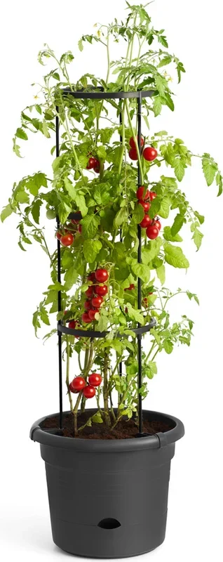 elho green basics Tomatentopf 33 cm, schwarz