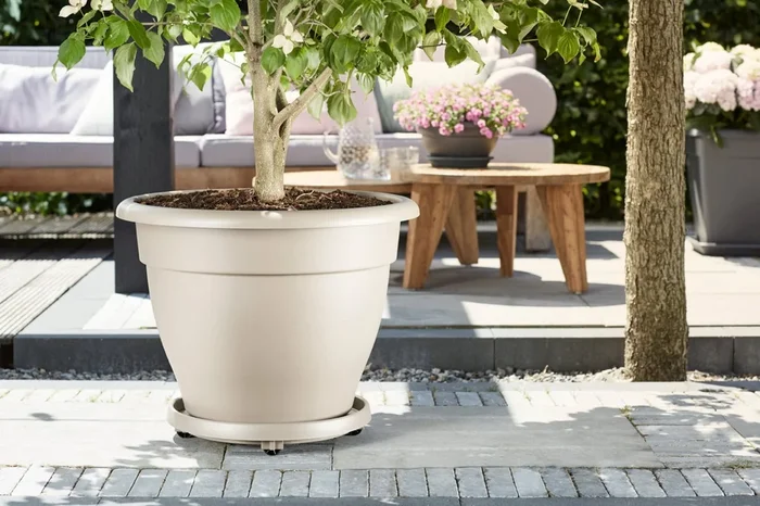 elho Universal Planttaxi 35, anthrazit
