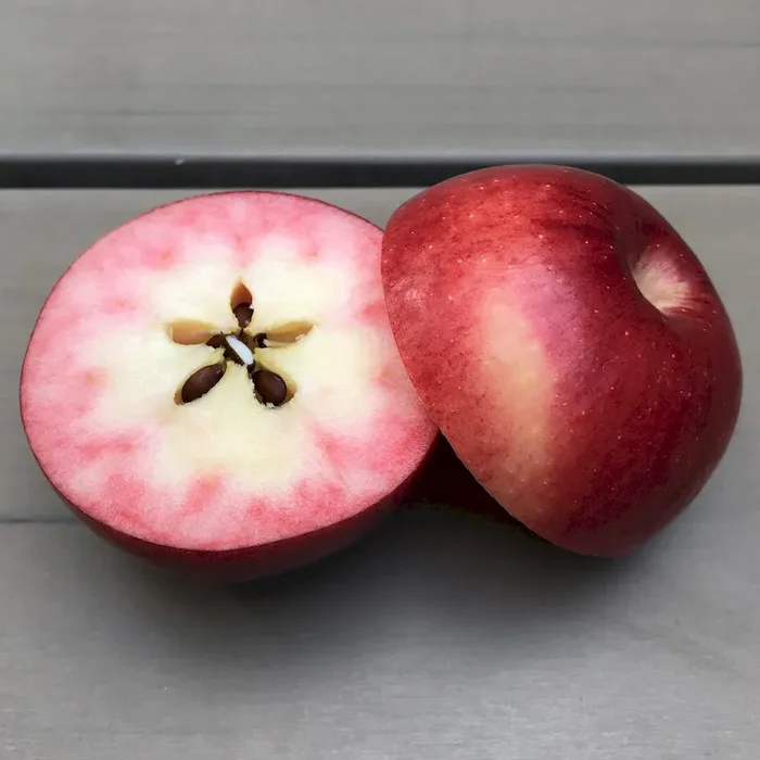 ELMirA (R) Pink Halbstamm