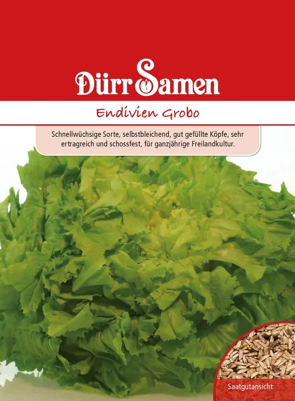 Endivien Grobo [MHD 12/2024]