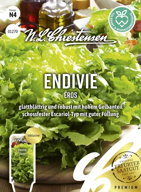 Endiviensamen ‚Eros‘