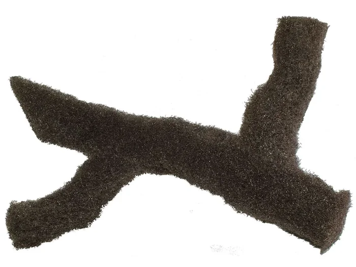 Epi-Web Stamm zweiarmig