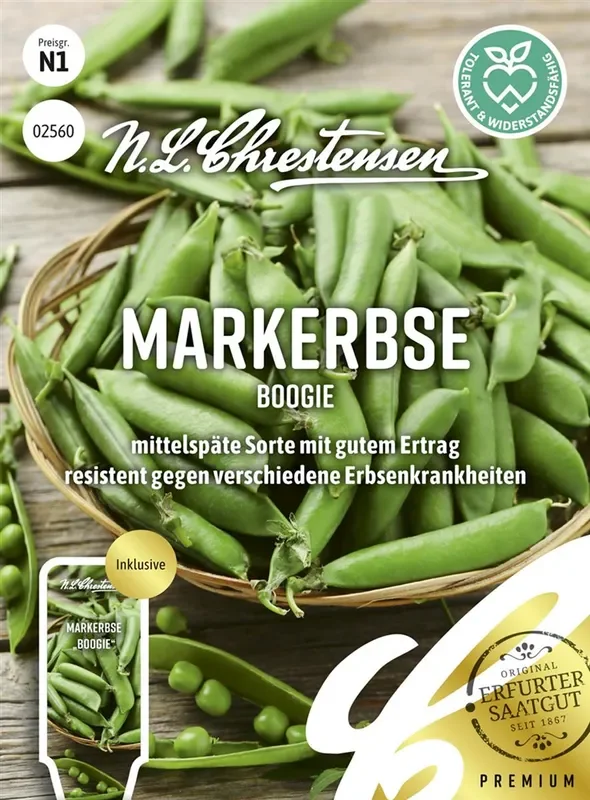 Erbsensamen ‚Boogie‘