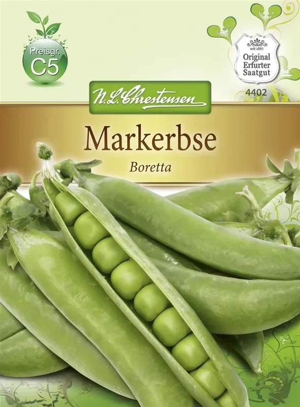 Erbsensamen ‚Boretta‘