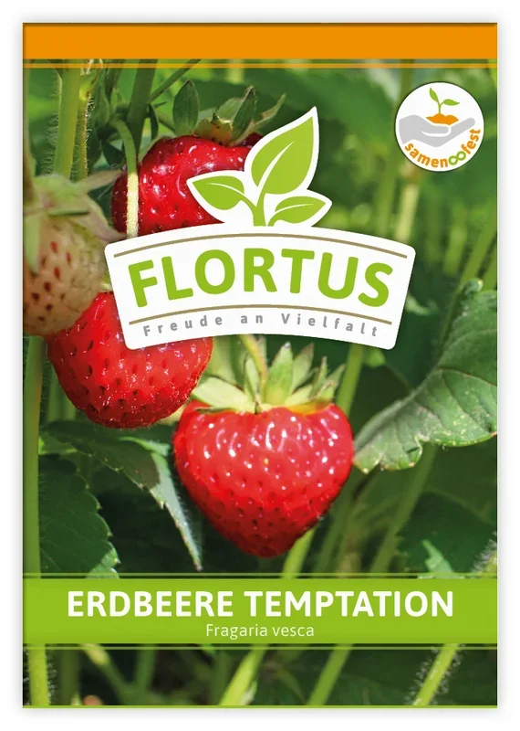 Erdbeere Temptation