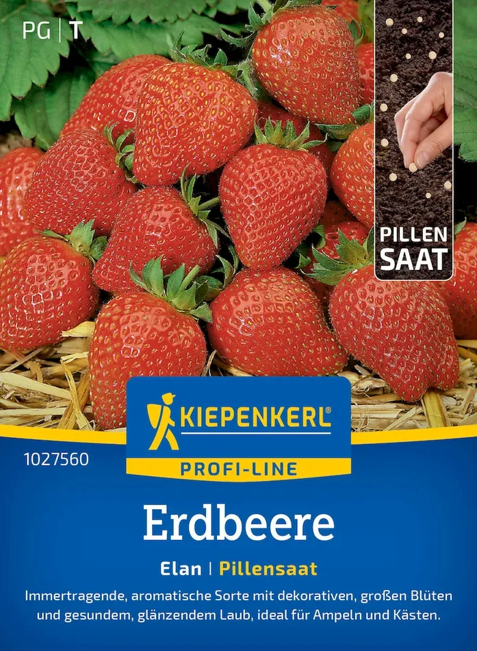 Erdbeersamen Elan, F1, Pillensaat