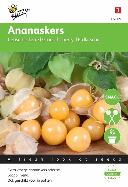 Erdkirsche Samen