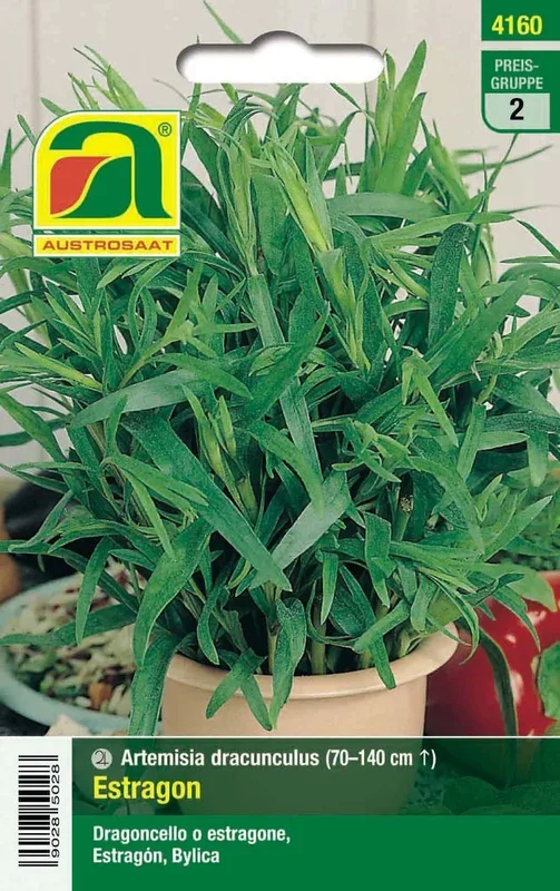 Estragon [MHD 12/2023]